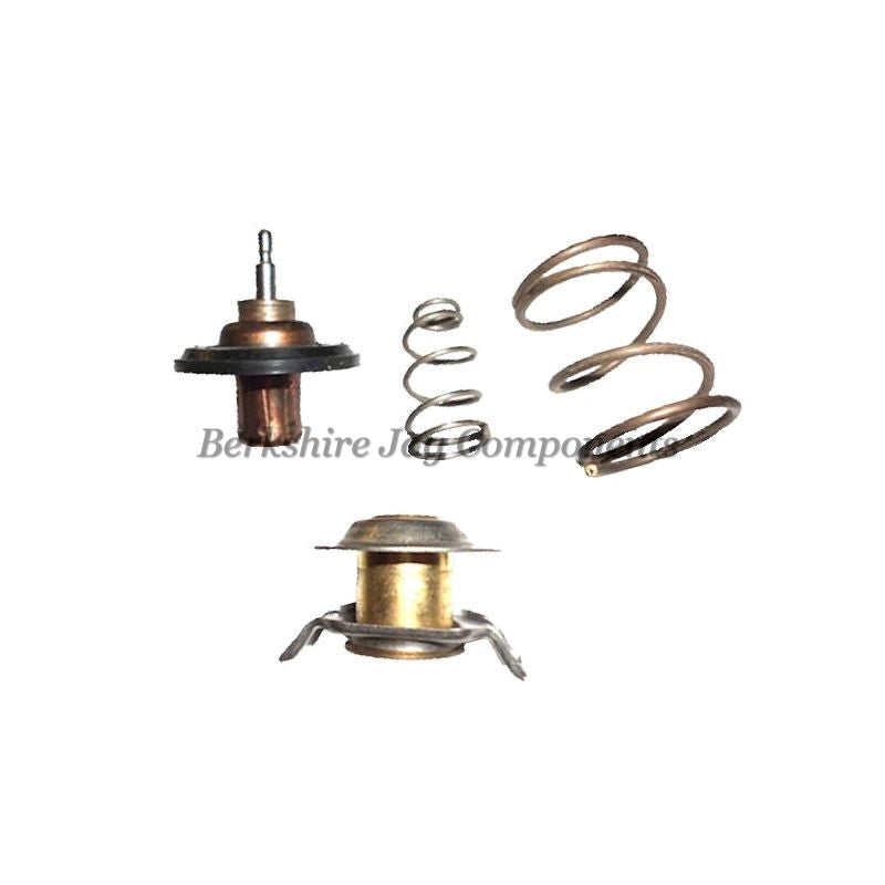 S Type Thermostat AJ811788