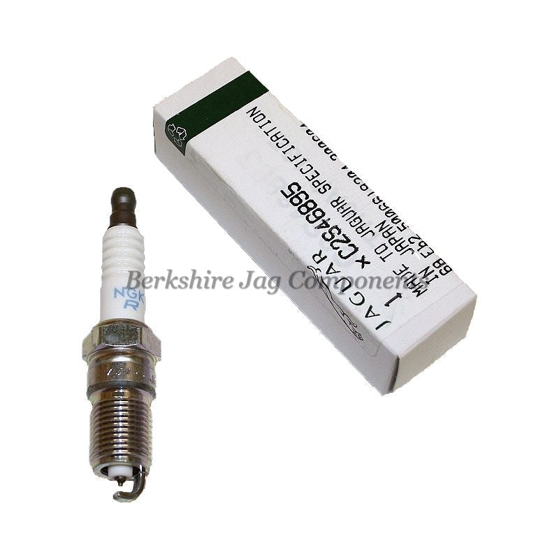 S Type Spark Plugs C2S46895