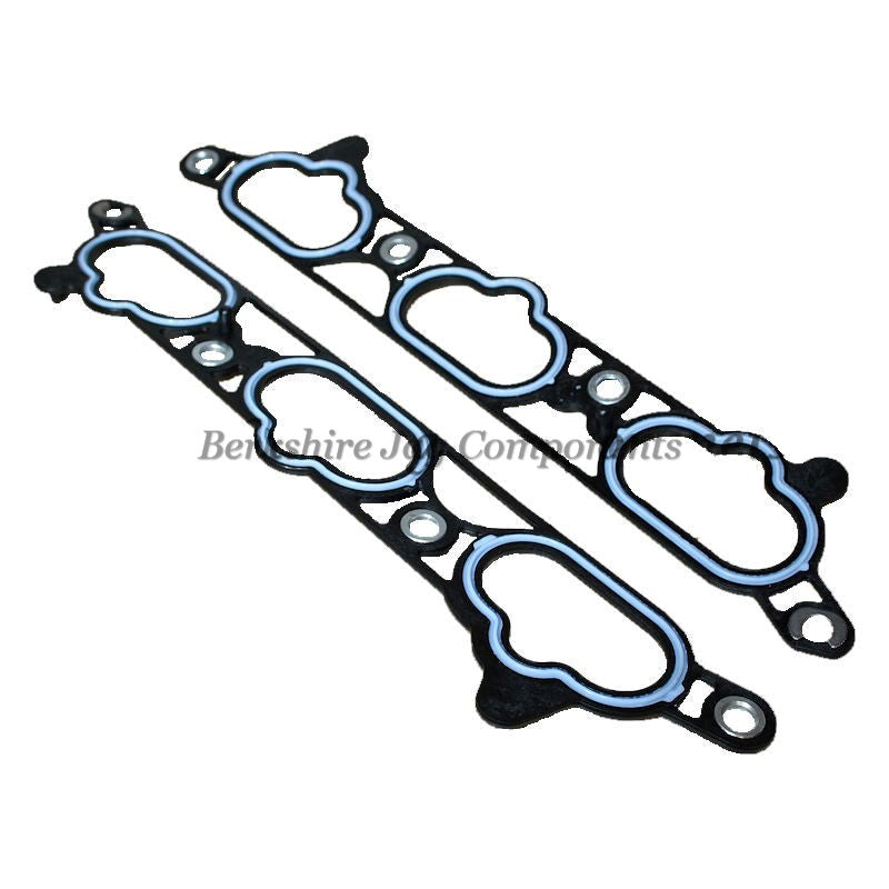 S Type Lower Inlet Manifold Gaskets XR85398